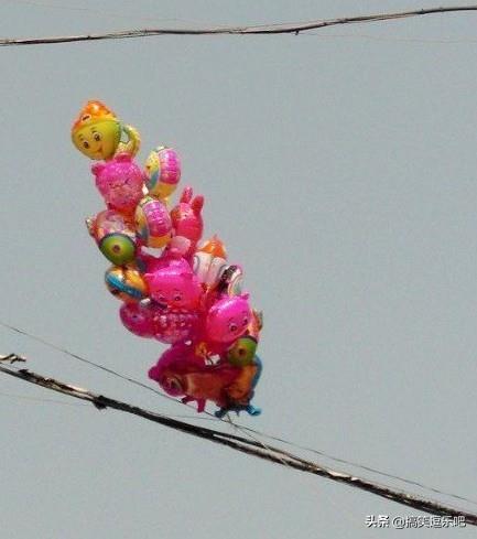 奇葩六张搞笑图:我居然被美团判定刷单给我封号了