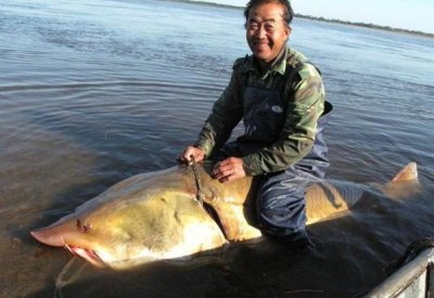 ​盘点：全史上最罕见的6大超级“巨鱼”，活一个世纪都难得一见！