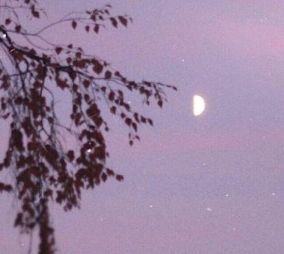 叔本华最伟大的一句话