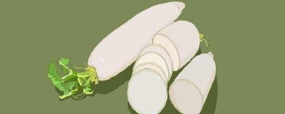 ​萝卜长芽了怎么办