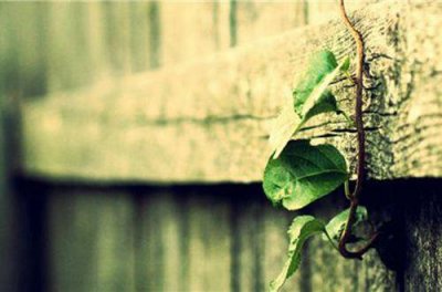 ​七夕数字短信90句