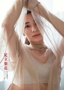 ​霓虹国美少女足立梨花