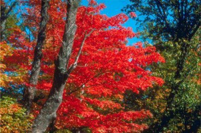 ​心烦的简短句子