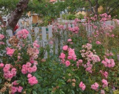 ​描写非常开心的句子