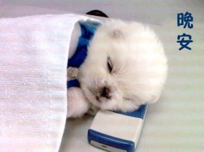 ​经典晚安心语