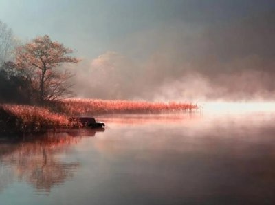 ​相关往后余生婚宴的唯美句子(精选35句)