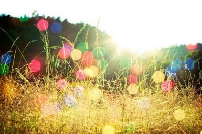 ​鼓励高考加油的暖心话(精选49句)