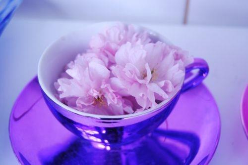 抗疫励志语录简短正能量(45句)