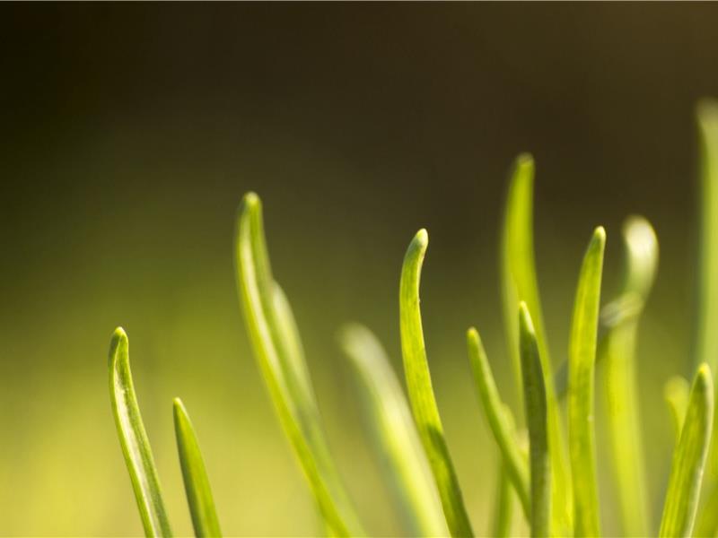 表达心情舒畅的句子(25句)