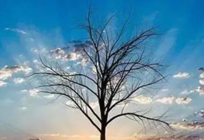 ​人生感悟：致自己！（精辟）