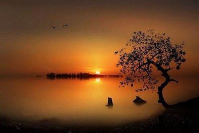 ​写爱情的唯美短句精选60句