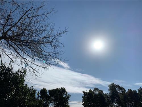 天气晴朗心情好的句子