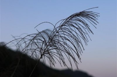 ​幸福的qq签名最新(精选37句)