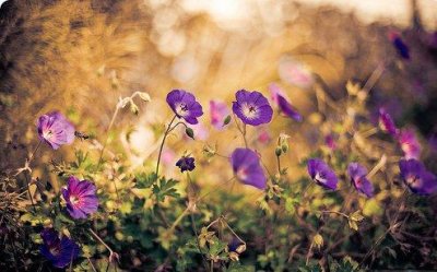 ​感伤唯美的句子120句