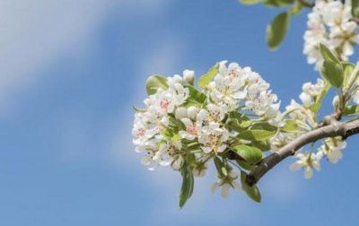 ​情人节写给情人的话 情人节表白最浪漫的话精选81句