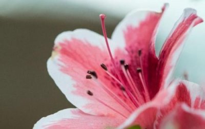 ​没有情人的情人节 讽刺情人节的句子(精选40句)