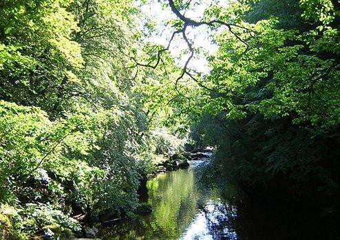 早安激励人的语录