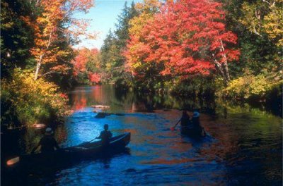 ​表达内心情感的句子