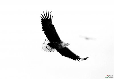 ​怎么评价李白这个人？