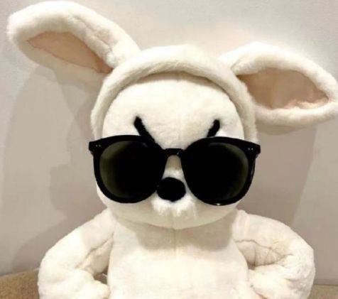 工作开心舒服的句子 工作的快乐唯美句子