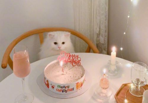 2025庆祝八一建军节贺词 庆祝八一建军93周年句子2025年