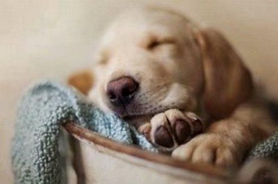 ​母亲节早安语录唯美句子 母亲节感恩语录(精选60句)