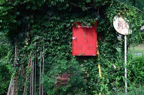 夜深思念一个人的句子