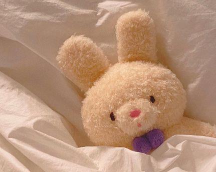 含蓄表达自己已经放下的句子看透了心寒的话