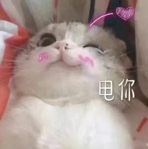 ​沙雕表情包~咬你的大猪蹄子