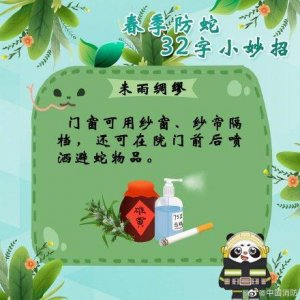 ​防蛇超实用小妙招