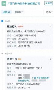 ​偷电瓶成网红“不可能打工”的当事人周某公司被强执39万元