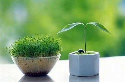 春天优美语句摘录44条