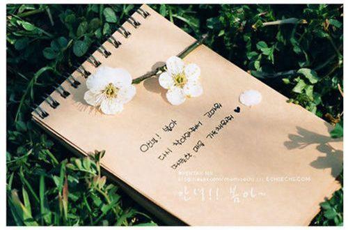 描写大海的优美语句分享