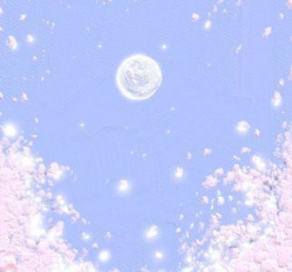 ​关于描写海棠花的优美句子