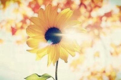 ​思念的句子参考