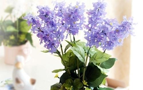 引人向上的人生感悟句子