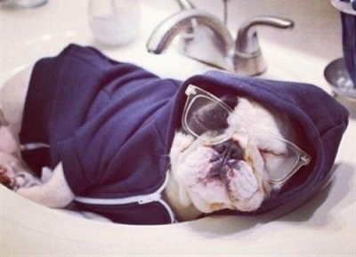 ​关于努力的早安问候句子