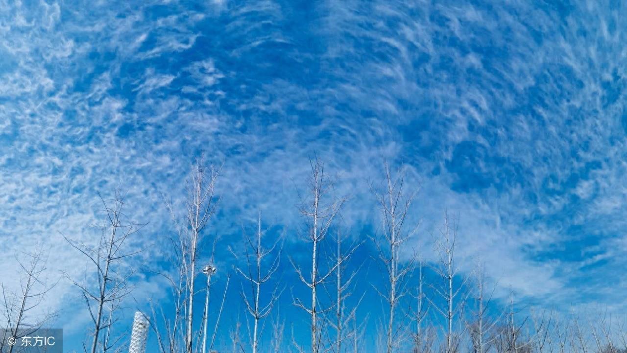 「天地不仁，以万物为刍狗」是什么意思？