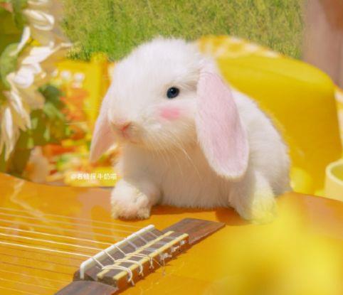 心里很乱很迷茫的句子 放弃一个你很爱的人才是痛苦