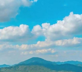 ​对事情失望看透的句子