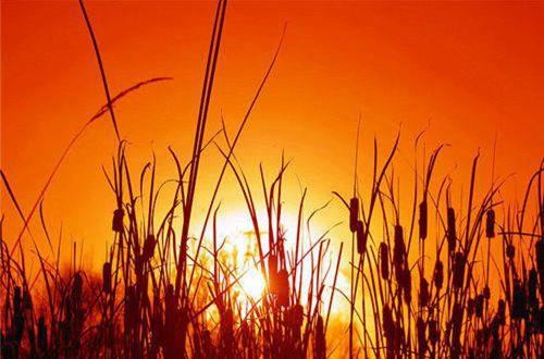 有关感恩教师的好句子