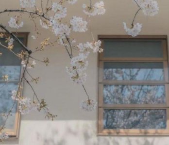 ​开开心心又快乐的句子