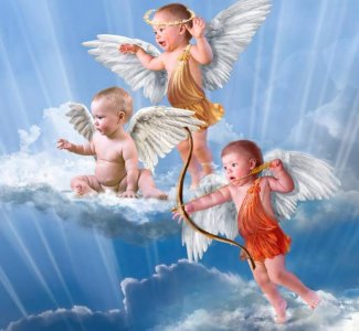 ​淡粉色的丘比特，寓意着浪漫、一见钟情的，掌握好5点不愁养不好