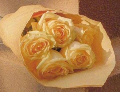 ​自己别想太多晚安小短句推荐34句