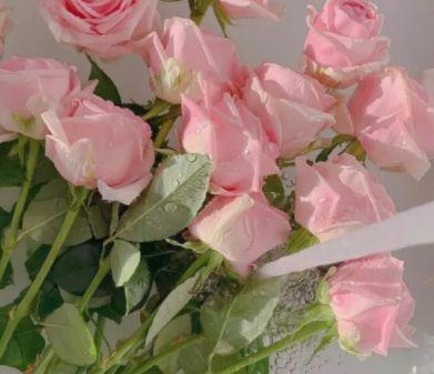 晚安一句话幽默的正能量语录