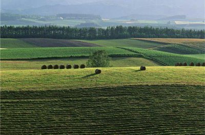 ​常用哲理的人生语句49条