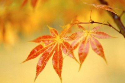 ​简洁的人生哲理语句39条