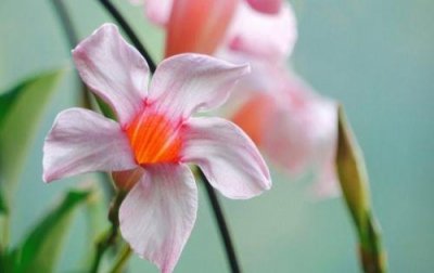 ​很想你了高情商语句 一句话表达我很想你(精选57句)