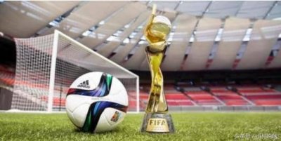 ​历届女足世界杯