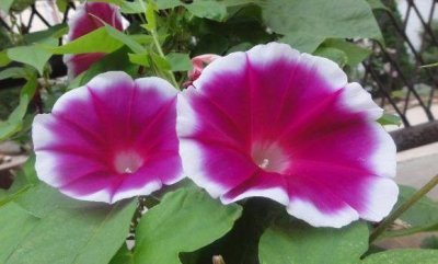 ​人生短暂，没有来日方长，世事无常